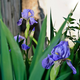 Image for article titled Shooting Challenge: Focus Stacking Gallery